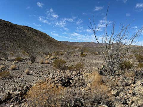 Vacant Land For Sale - 40 Red Fox Rd<br/> Brewster County, Terlingua, TX 79852