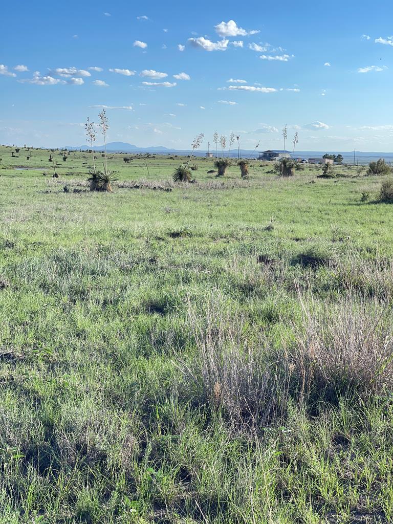 1820 Rabbit Rd, Marfa, Texas image 4