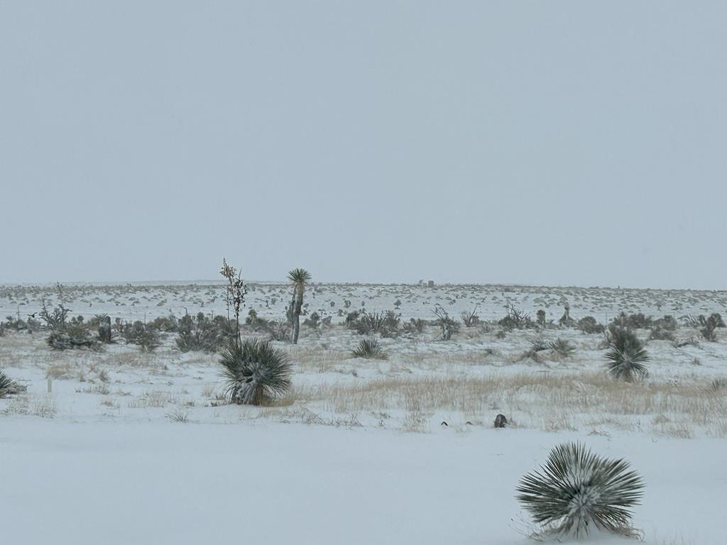 1820 Rabbit Rd, Marfa, Texas image 10