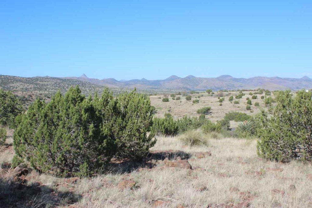 TR 111 Sierra La Rana, Alpine, Texas image 7
