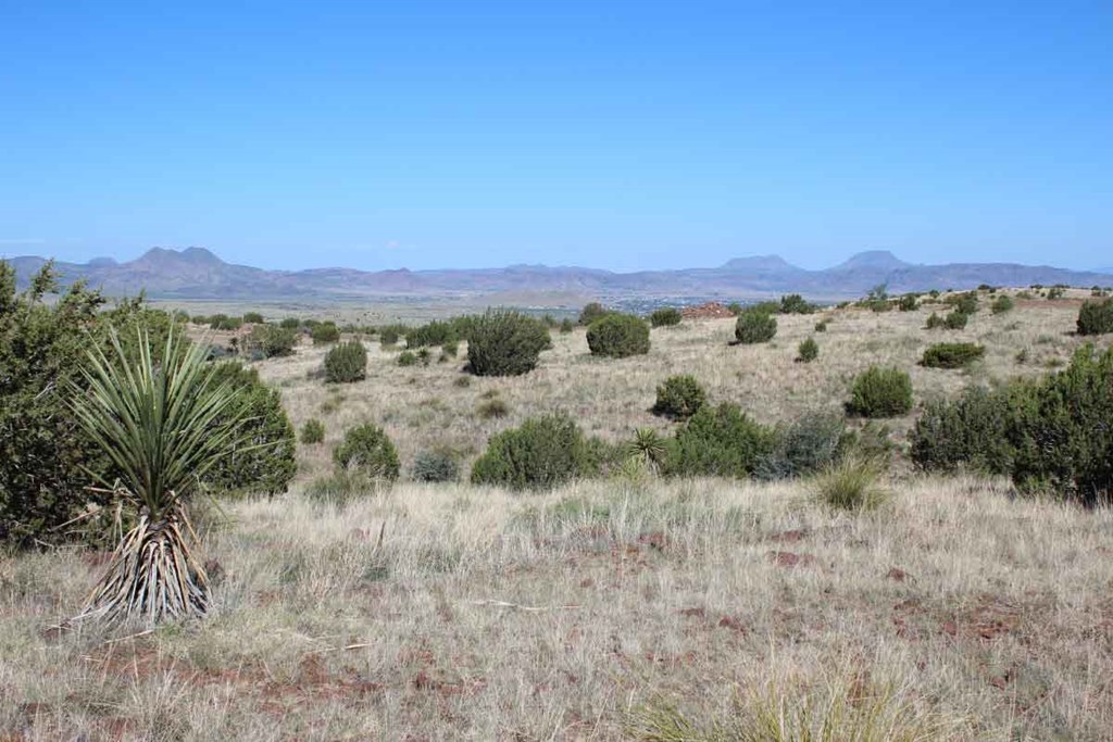 TR 111 Sierra La Rana, Alpine, Texas image 6