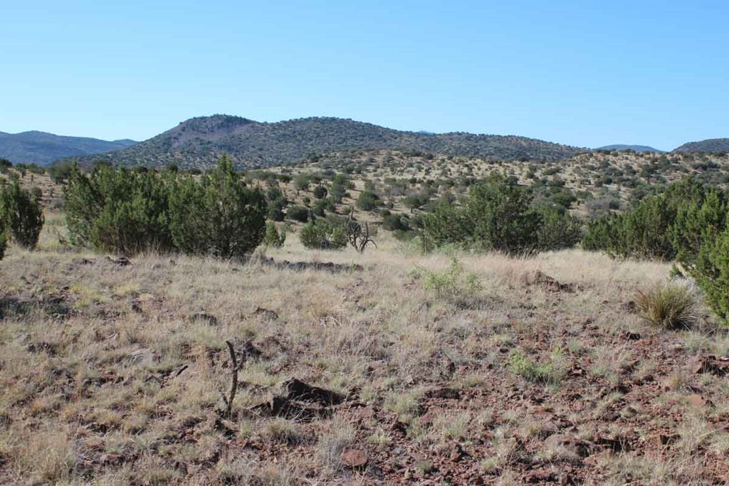 TR 111 Sierra La Rana, Alpine, Texas image 8