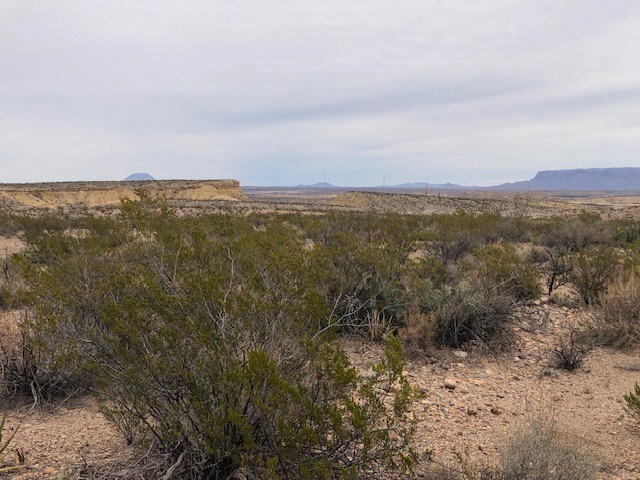 F 322 Private Rd, Terlingua, Texas image 4