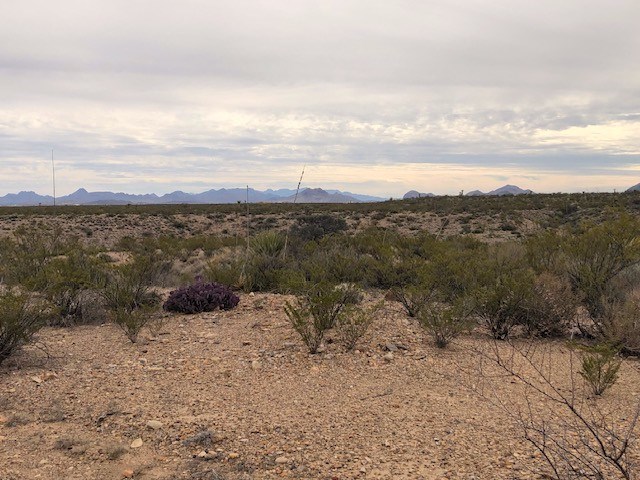 F 322 Private Rd, Terlingua, Texas image 2