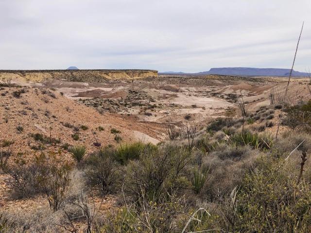 F 322 Private Rd, Terlingua, Texas image 1