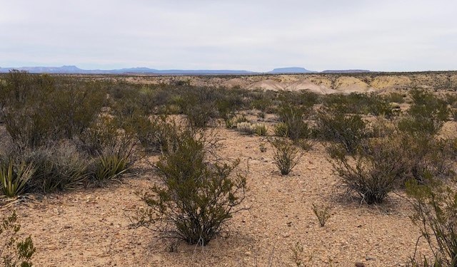 F 322 Private Rd, Terlingua, Texas image 5