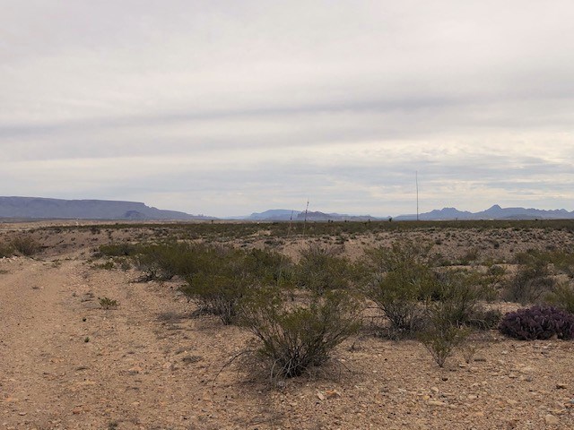 F 322 Private Rd, Terlingua, Texas image 3