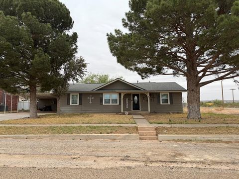 Homes For Sale - 102 Walnut Avenue<br/> McCamey, TX 79752