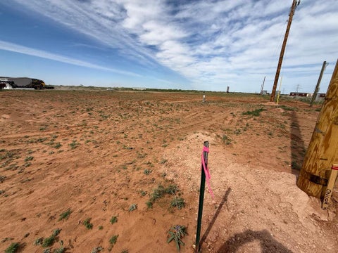 Vacant Land For Sale - TBD S County Rd 1040<br/> Midland County, Midland, TX 79706