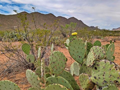 Vacant Land For Sale - TBD Sombrero Peak Road<br/> Terlingua, TX 79852