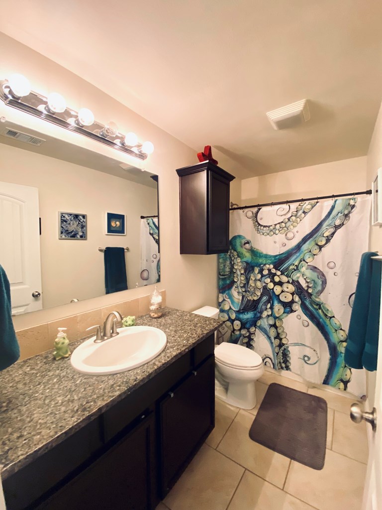 808 Brittlebush Ct, Odessa, Texas image 6