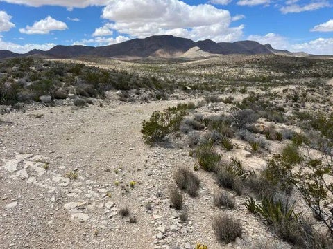 Vacant Land For Sale - 21231 Slate Springs<br/> Terlingua, TX 79852