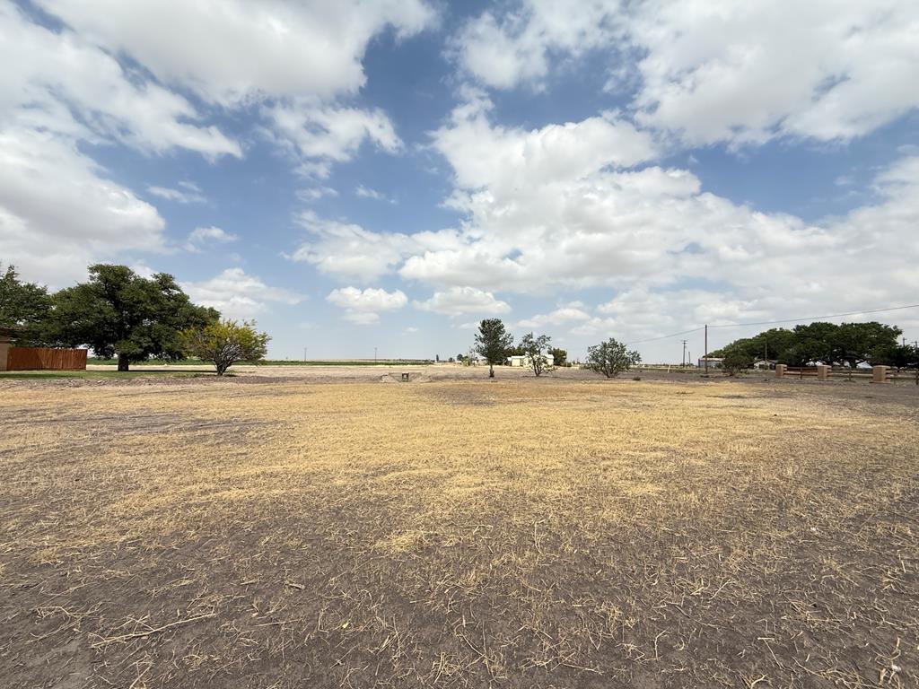 8610 Hwy 17, Balmorhea, Texas image 4