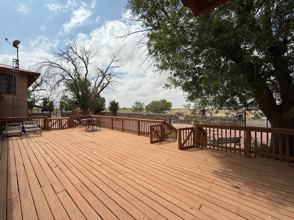 8610 Hwy 17, Balmorhea, Texas image 47