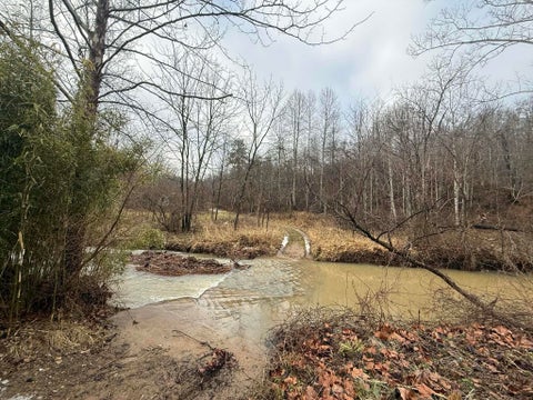 Photo for 24516 Slick Rock Road