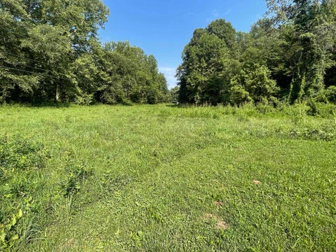 Tiny photo for 1621 Daveys Run RUN, Grayson, KY 41143 (MLS # 61076)