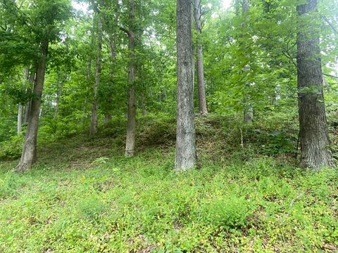Tiny photo for 304 Wampler Branch, Greenup, KY 41144 (MLS # 60741)