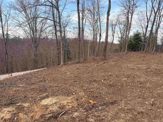 JAYBIRD LN, GRAYSON, KY 41143 - Image 23f2b081122df55d170b527fbc9fd4ca/1571571483