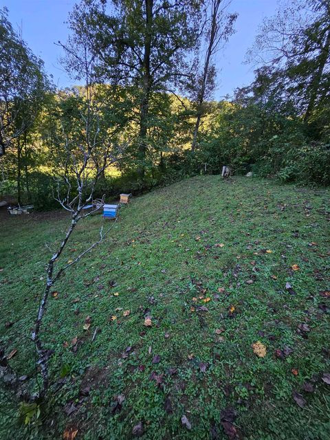 Tiny photo for 71 Slatelick Branch Road, Louisa, KY 41230 (MLS # 59592)