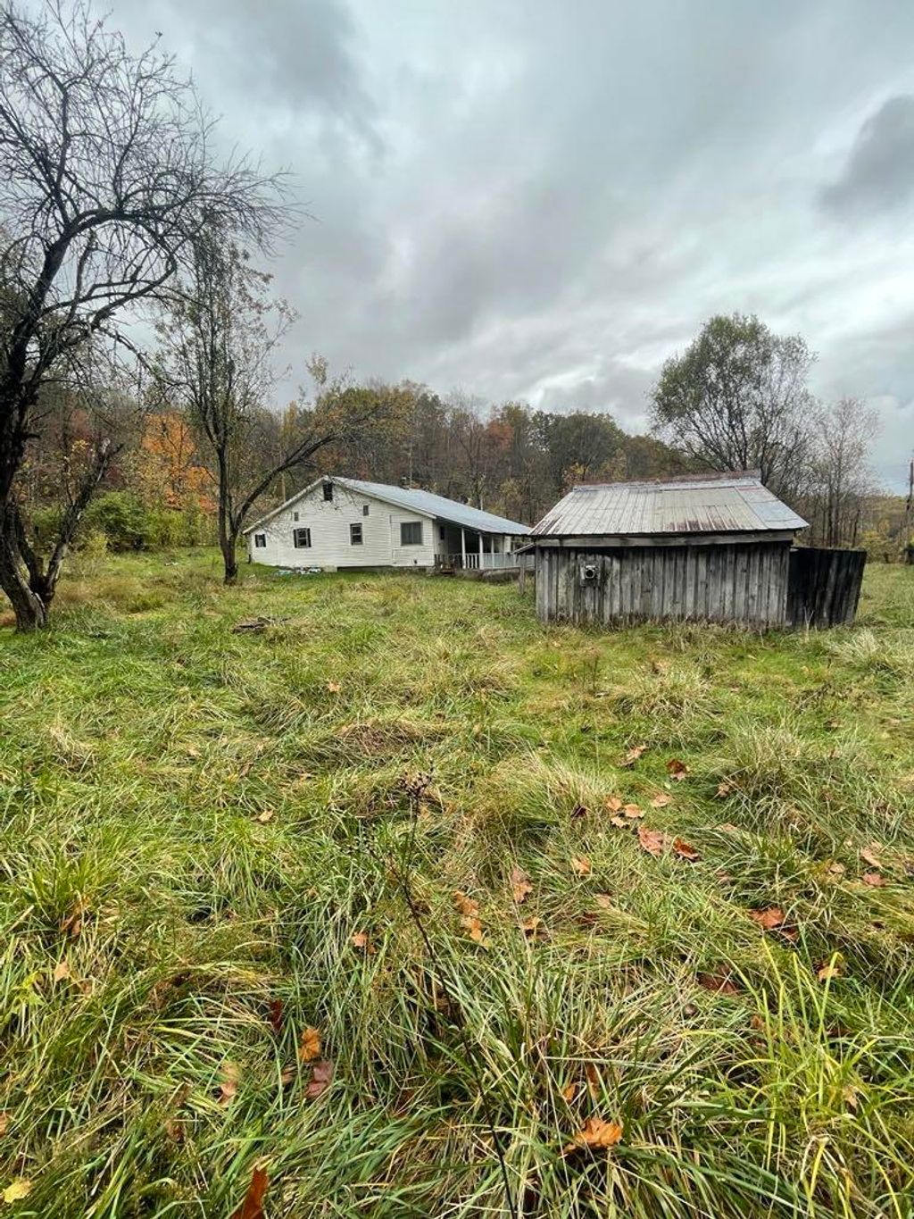 Photo of 9459 State Route 335, Beaver, OH 45613 (MLS # 59717)