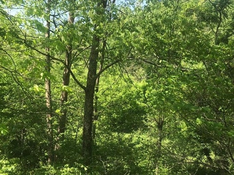 Photo for TBD 25 AC Land Aden Road