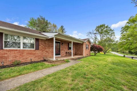 Tiny photo for 1039 Regis Street St, Russell, KY 41169 (MLS # 60488)