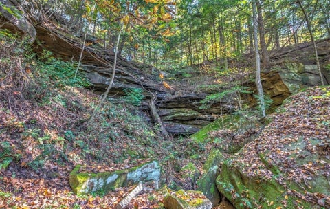 Tiny photo for 387 Leadingham Loop LOOP, Olive Hill, KY 41164 (MLS # 61465)