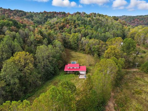 Tiny photo for 3391 Beechy Creek Crk, South Shore, KY 41175 (MLS # 59575)
