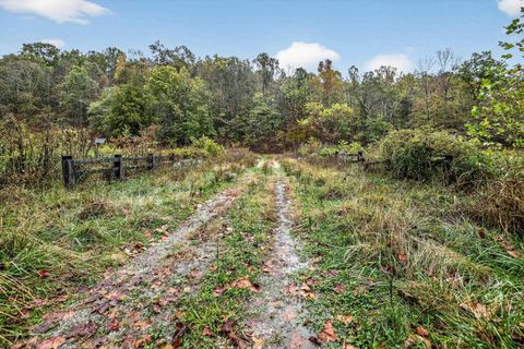Tiny photo for 3391 Beechy Creek Crk, South Shore, KY 41175 (MLS # 59575)
