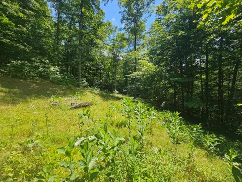 Photo for 225,312, 322 Aaron Drive 2