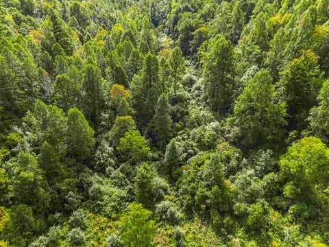 Photo for 1397 Lick Creek Road