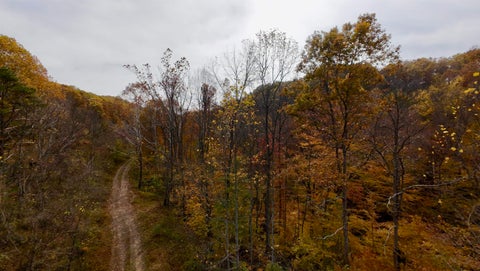 Photo for 0 State Route 3