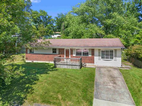 Tiny photo for 1705 Mary Ellen Drive DR, Flatwoods, KY 41139 (MLS # 60957)