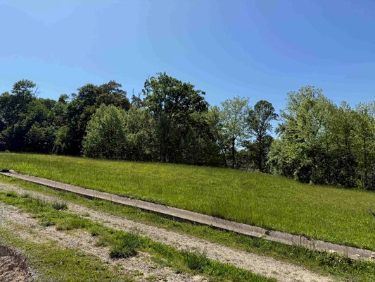 15 MEADOWS LN, GREENUP, KY 41144 - Image 7b3d36ce71f674cee02ff76ed189981d/486169987