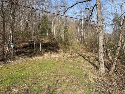 Photo for 326 Earl Crisp Road