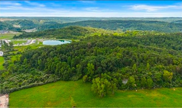 24 TAYLOR LN, GREENUP, KY 41144 - Image 8332905fef3e2ddc4fb4459abbda08e5/3575991465