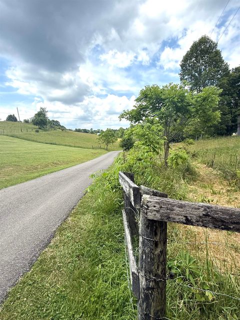 Tiny photo for 482 Tomo Road RD, Olive Hill, KY 41164 (MLS # 60736)