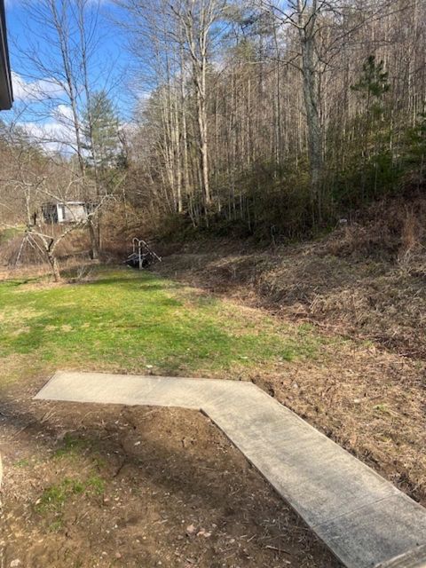 Tiny photo for 373 Mullins Hollow Rd, Sandy Hook, KY 41171 (MLS # 60240)