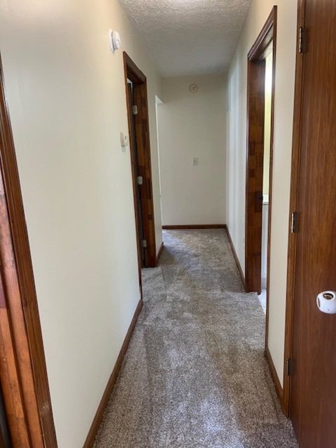 Tiny photo for 373 Mullins Hollow Rd, Sandy Hook, KY 41171 (MLS # 60240)