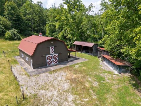Tiny photo for 1029 Trace Creek Road Rd, Salt Rock, WV 25559 (MLS # 59579)