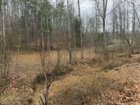 Tiny photo for 128 Aspen Drive, Louisa, KY 41230 (MLS # 60199)