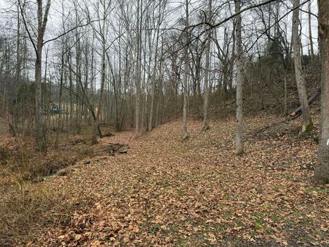 Tiny photo for 128 Aspen Drive, Louisa, KY 41230 (MLS # 60199)