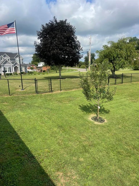 Tiny photo for 3041 Bonanza Drive, Catlettsburg, KY 41129 (MLS # 61002)