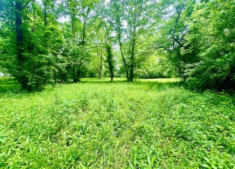 Photo for 22250 Kentucky 3