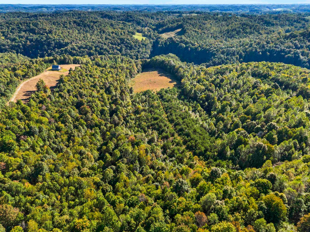 Photo of 716 Mauk Cemetery Road Rd, Olive Hill, KY 41164 (MLS # 61401)