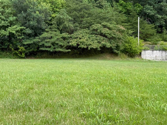 TACKETT DR, ASHLAND, KY 41101 - Image ccb35ce224f32ac01c7cbd10f8b35bfa/2191027651