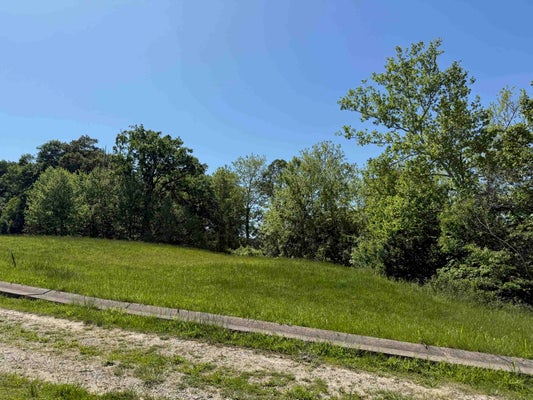 22 MEADOWS LN, GREENUP, KY 41144 - Image d288a7efef06ae3c46a5afc00369e3eb/515378969