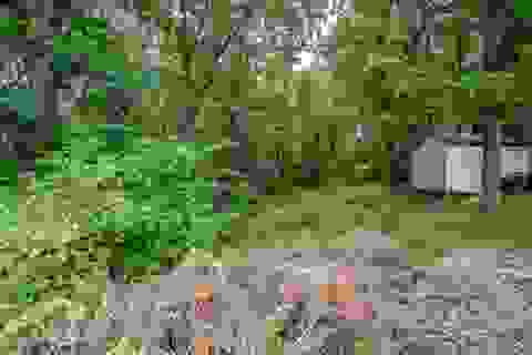 Tiny photo for 8527 Ponderosa Ridge Rdg, Ashland, KY 41102 (MLS # 60730)