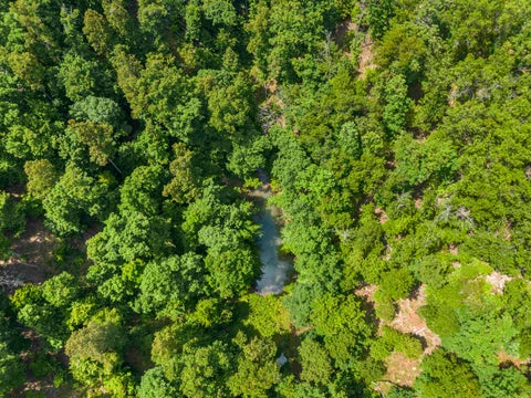 Tiny photo for 941 Tark Hill Rd. RD, Grayson, KY 41143 (MLS # 60738)