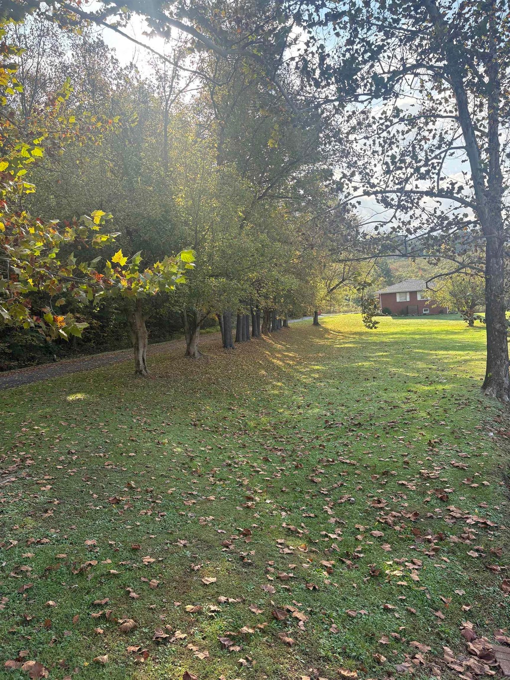 Photo of 930 N Big Run Road RD, Ashland, KY 41102 (MLS # 61453)